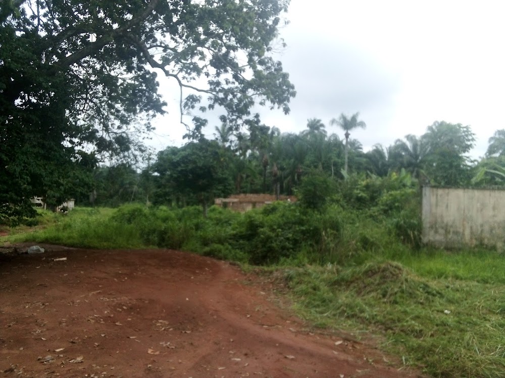 Umueze Hall photo 4